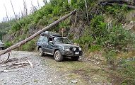 13-Michael squeezes under a fallen tree on 